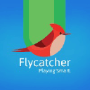 Flycatcher Toys coupon code